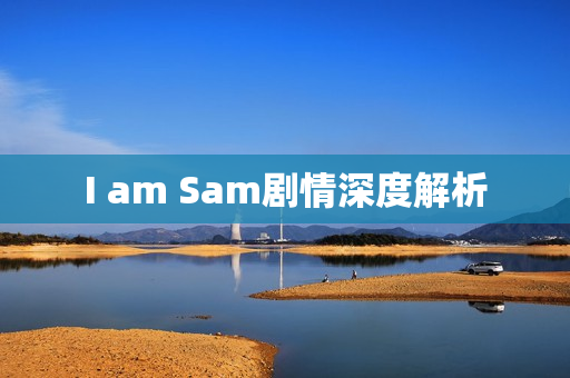 I am Sam剧情深度解析