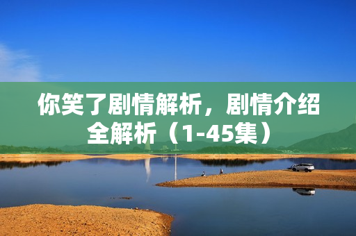 你笑了剧情解析，剧情介绍全解析（1-45集）