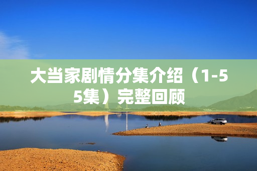 大当家剧情分集介绍（1-55集）完整回顾