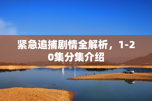 紧急追捕剧情全解析，1-20集分集介绍