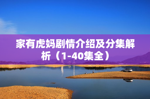 家有虎妈剧情介绍及分集解析（1-40集全）