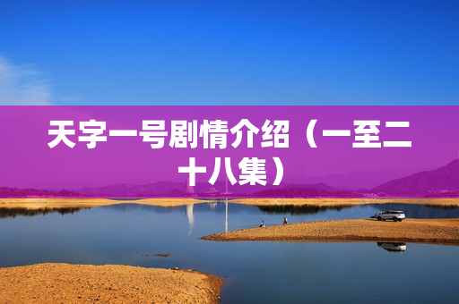 天字一号剧情介绍（一至二十八集）