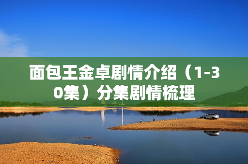 面包王金卓剧情介绍（1-30集）分集剧情梳理