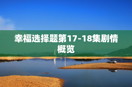 幸福选择题第17-18集剧情概览