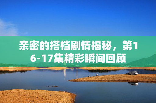 亲密的搭档剧情揭秘，第16-17集精彩瞬间回顾