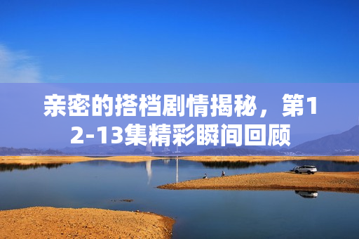 亲密的搭档剧情揭秘,第12-13集精彩瞬间回顾 亲密的搭档剧情揭秘,第12-13集精彩瞬间回顾