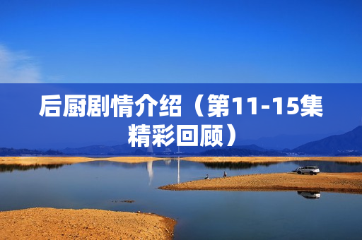 后厨剧情介绍（第11-15集精彩回顾）