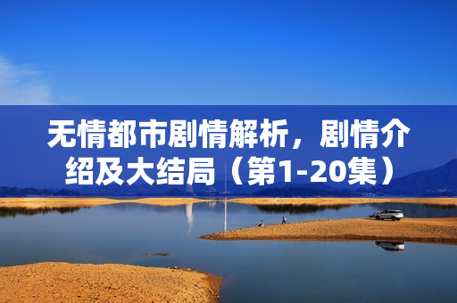 无情都市剧情解析，剧情介绍及大结局（第1-20集）