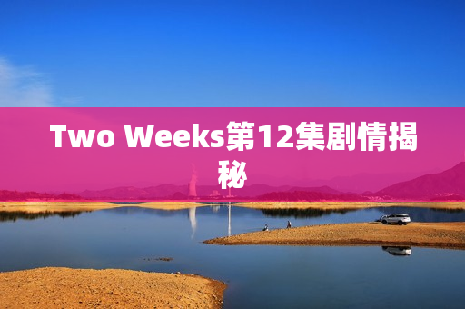 Two Weeks第12集剧情揭秘