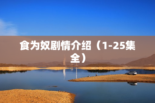 食为奴剧情介绍（1-25集全）