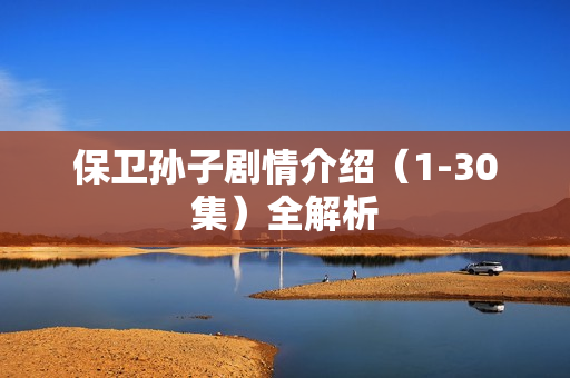 保卫孙子剧情介绍（1-30集）全解析