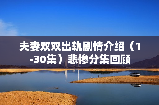 夫妻双双出轨剧情介绍（1-30集）悲惨分集回顾