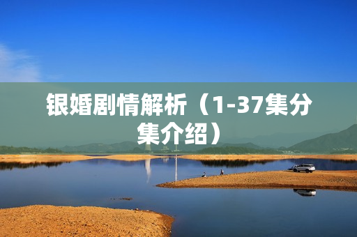 银婚剧情解析（1-37集分集介绍）