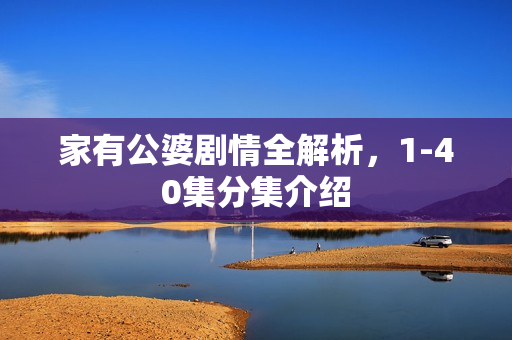 家有公婆剧情全解析，1-40集分集介绍