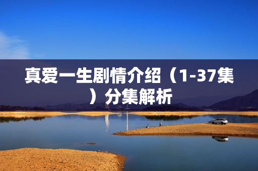 真爱一生剧情介绍（1-37集）分集解析