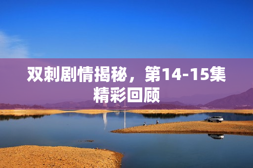 双刺剧情揭秘，第14-15集精彩回顾