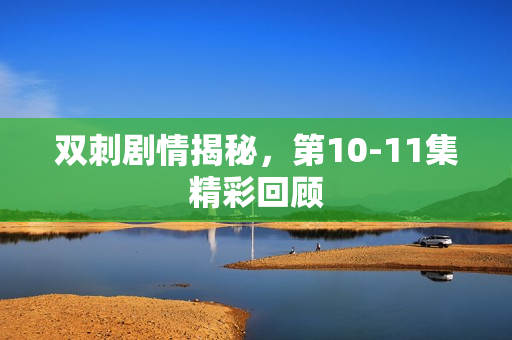 双刺剧情揭秘，第10-11集精彩回顾