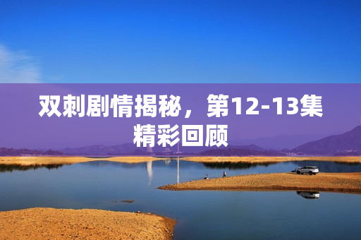 双刺剧情揭秘，第12-13集精彩回顾