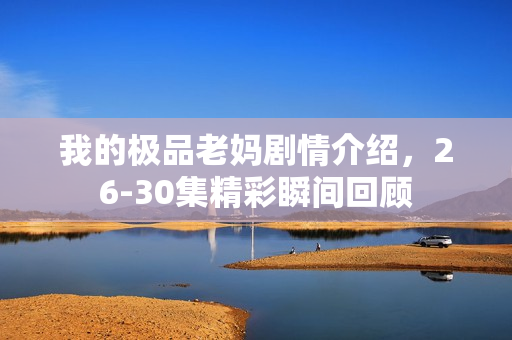 我的极品老妈剧情介绍，26-30集精彩瞬间回顾