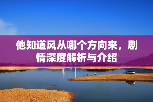他知道风从哪个方向来，剧情深度解析与介绍