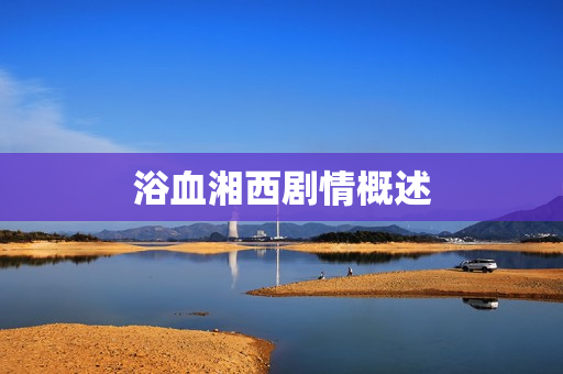 浴血湘西剧情概述