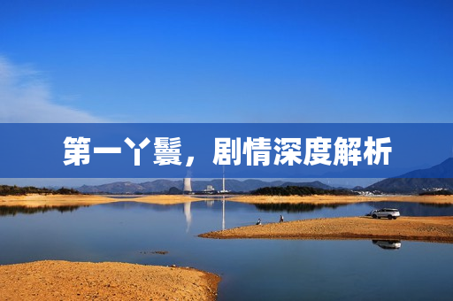 第一丫鬟，剧情深度解析