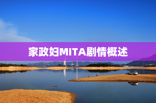 家政妇MITA剧情概述