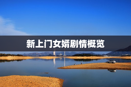 新上门女婿剧情概览