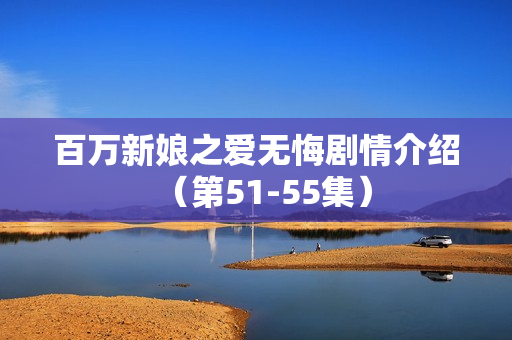 百万新娘之爱无悔剧情介绍（第51-55集）