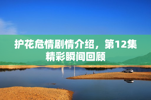 护花危情剧情介绍,第12集精彩瞬间回顾 护花危情剧情介绍,第12集精彩瞬间回顾