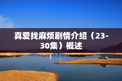 真爱找麻烦剧情介绍（23-30集）概述