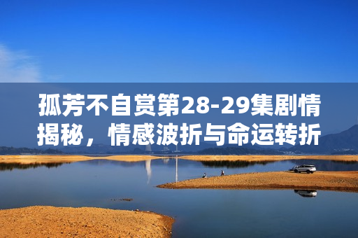 孤芳不自赏第28-29集剧情揭秘，情感波折与命运转折