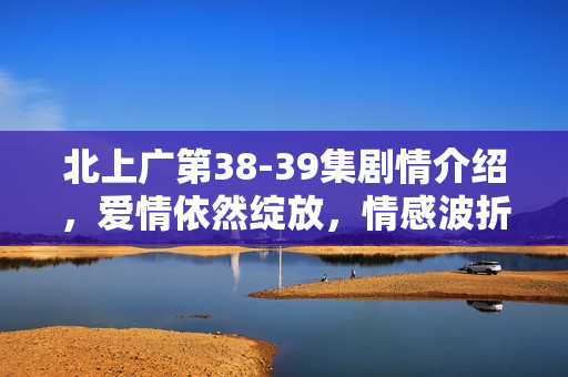 北上广第38-39集剧情介绍，爱情依然绽放，情感波折不断