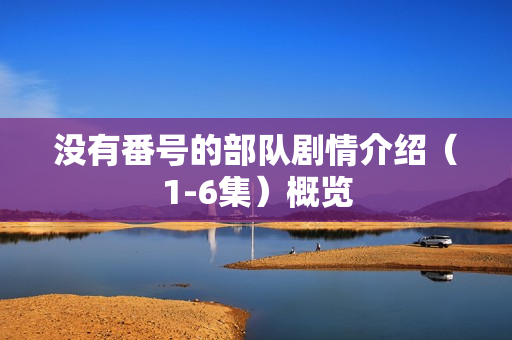 没有番号的部队剧情介绍(1-6集)概览 没有番号的部队剧情介绍(1-6集)概览