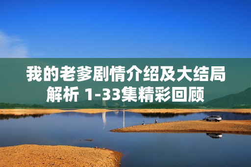 我的老爹剧情介绍及大结局解析 1-33集精彩回顾