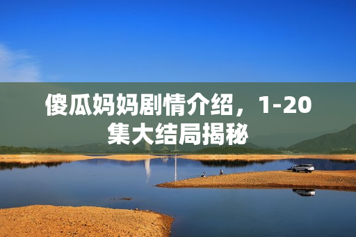 傻瓜妈妈剧情介绍，1-20集大结局揭秘