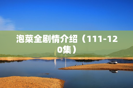 泡菜全剧情介绍（111-120集）