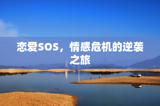 恋爱SOS，情感危机的逆袭之旅