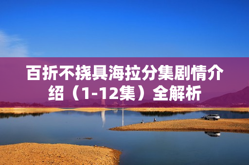 百折不挠具海拉分集剧情介绍（1-12集）全解析