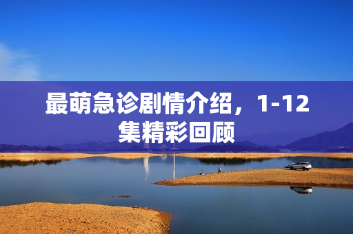 最萌急诊剧情介绍，1-12集精彩回顾