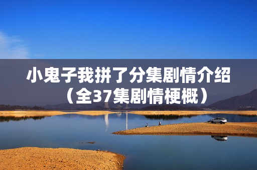 小鬼子我拼了分集剧情介绍（全37集剧情梗概）