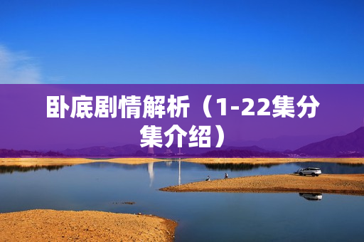 卧底剧情解析（1-22集分集介绍）