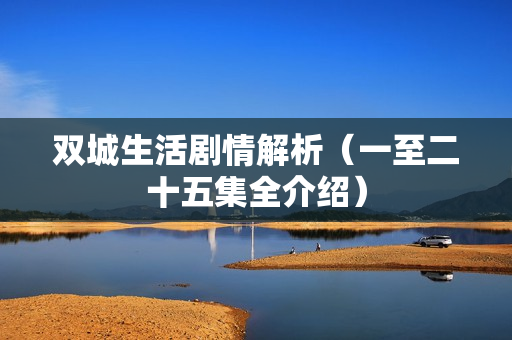 双城生活剧情解析(一至二十五集全介绍) 双城生活剧情解析(一至二十五集全介绍)