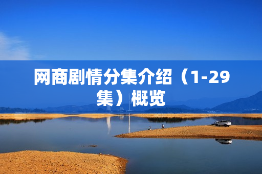 网商剧情分集介绍(1-29集)概览 网商剧情分集介绍(1-29集)概览