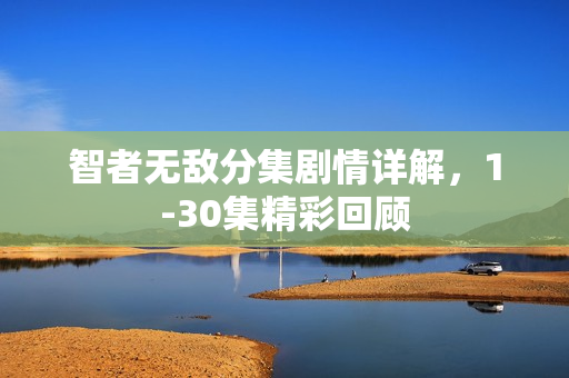 智者无敌分集剧情详解，1-30集精彩回顾