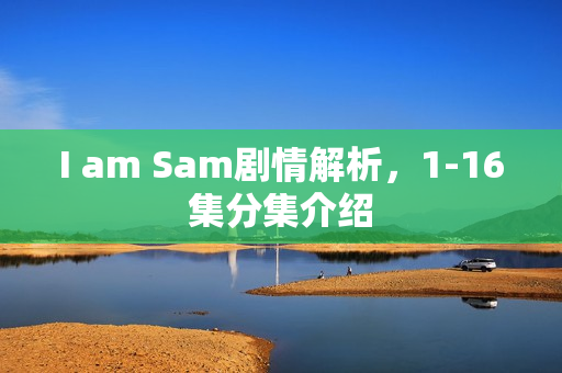 I am Sam剧情解析，1-16集分集介绍