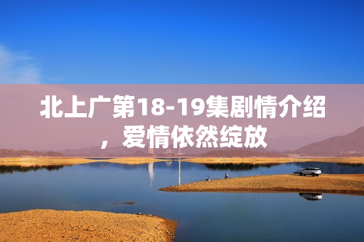 北上广第18-19集剧情介绍，爱情依然绽放