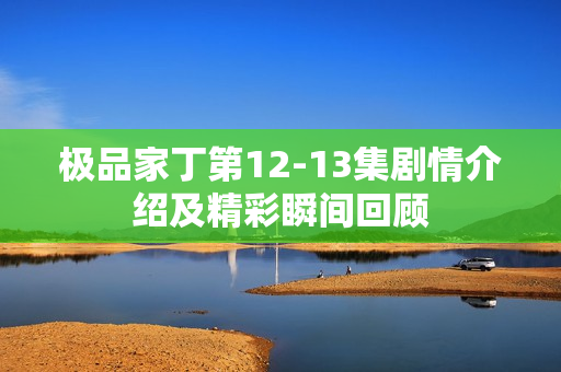 极品家丁第12-13集剧情介绍及精彩瞬间回顾 极品家丁第12-13集剧情介绍及精彩瞬间回顾