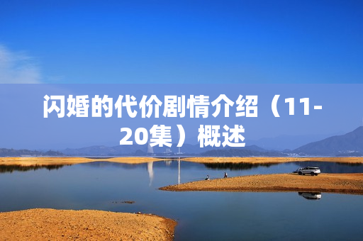 闪婚的代价剧情介绍（11-20集）概述