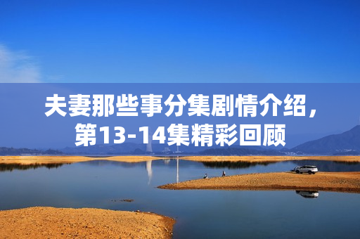 夫妻那些事分集剧情介绍,第13-14集精彩回顾 夫妻那些事分集剧情介绍,第13-14集精彩回顾